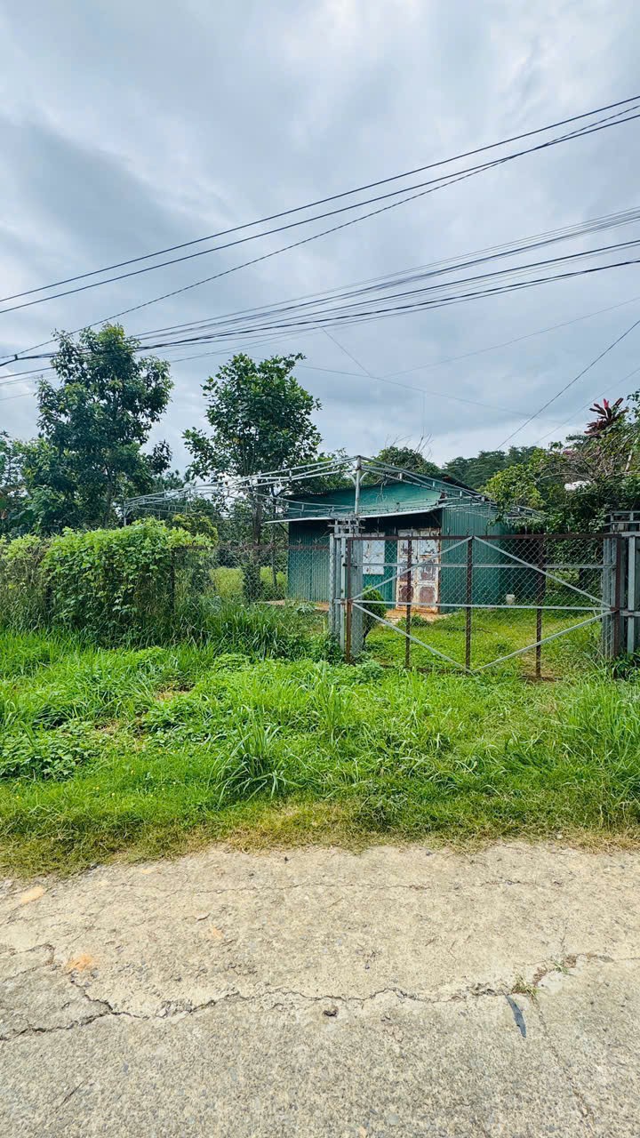Cần bán lô đất ngang 30m, diện tích 2000m2 có 550m2 thổ cư Đức Trọng 4