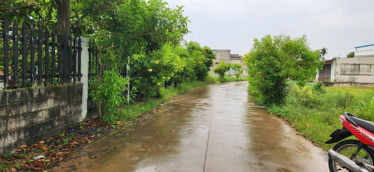469m2 đất thổ cư hẻm ấp 4, xã Đức Hòa Đông, Long An giá 6 tỷ 3