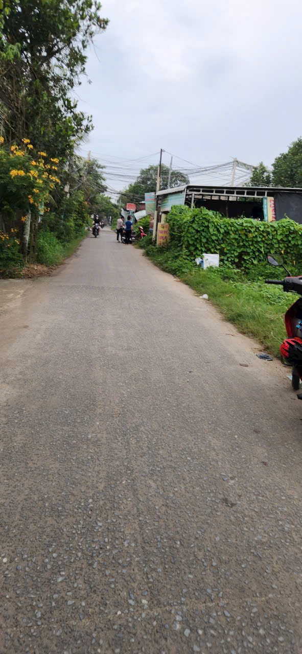 850m2 thổ cư hẻm ấp Bình Thủy, xã Hòa Khánh Đông , Đức Hòa giá 7,5 tỷ 3