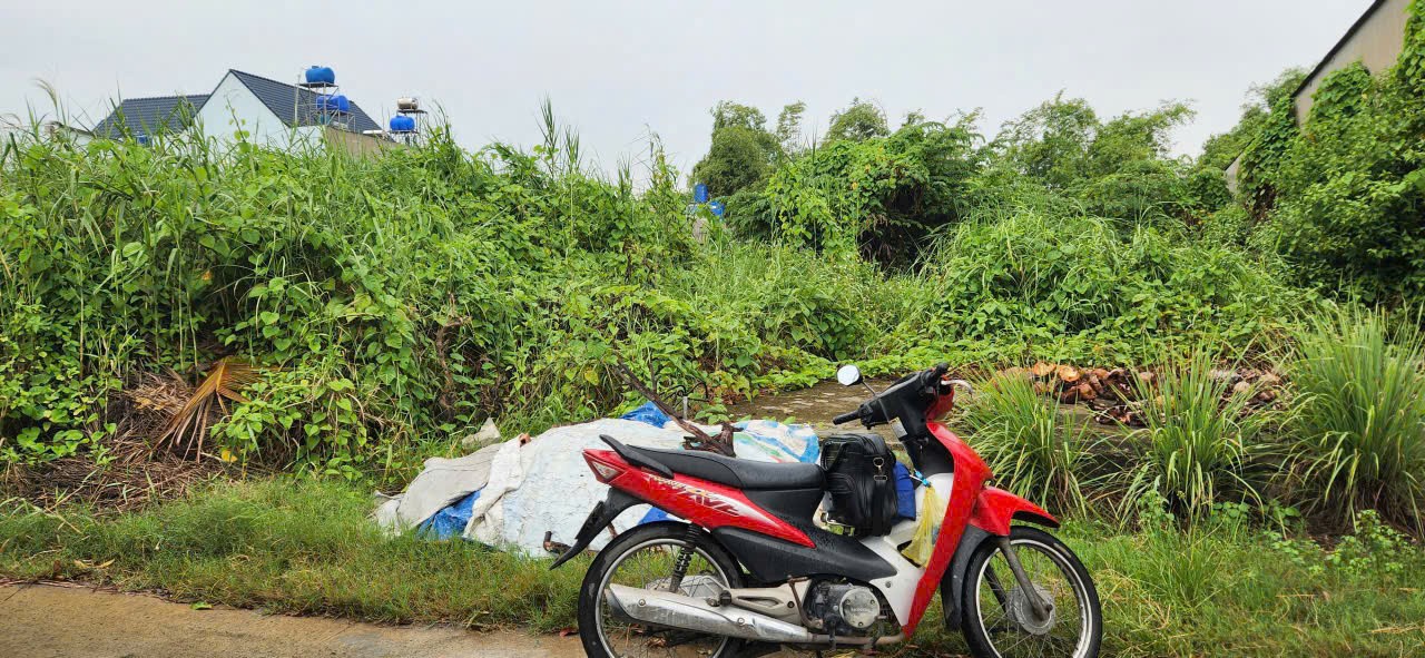 1193m2 đất thổ cư hẻm xã Đức Hòa Đông, Đức Hòa, Long An giá 11 tỷ 2