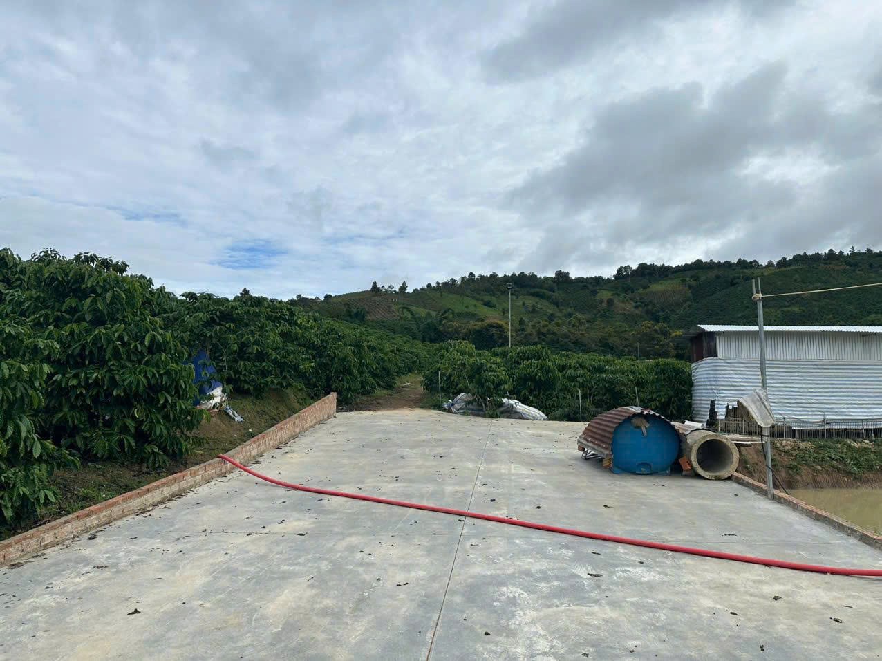 Bán 21000m2 ( 21 sào ) đất nhà , ao, vườn cà phê -Xã Liên Hiệp - Đức Trọng Lâm Đồng 2