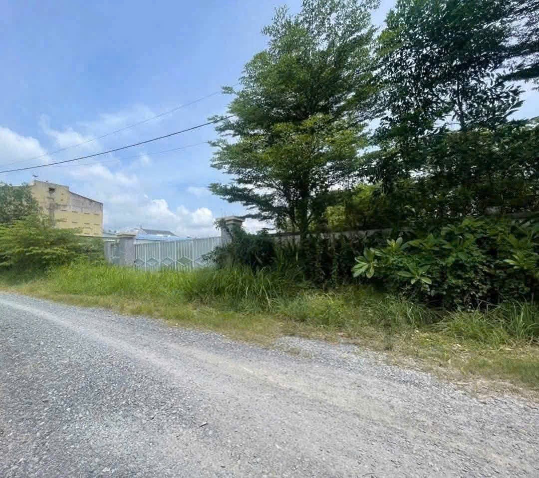 RẺ NHẤT BÌNH MỸ – 3.800m² FULL TƯỜNG RÀO – GẦN VÀNH ĐAI 3 – GIÁ CHỈ 28 TỶ‼ 3