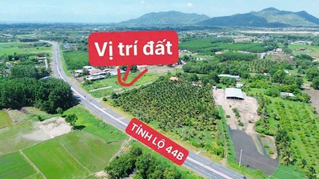 CHỦ CẦN TIỀN BÁN GẤP LÔ ĐẤT 1 TỶ TẠI TT PHƯỚC HẢI, LONG ĐẤT, BRVT