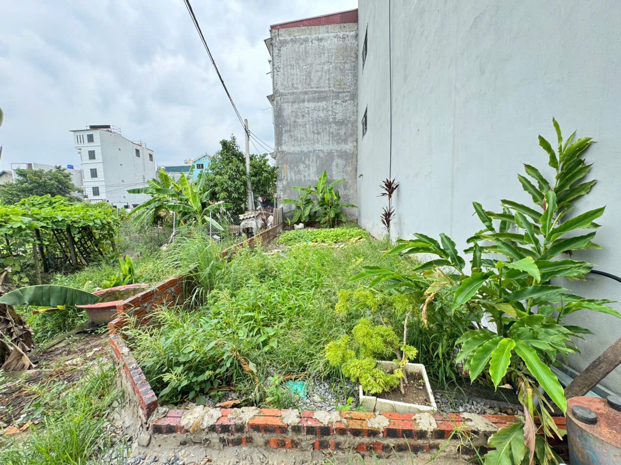 Đất đẹp tổ 5 (cũ), Quang Minh, Mê Linh. Lô góc, 2 mặt thoáng, mặt tiền kinh doanh đẹp 2