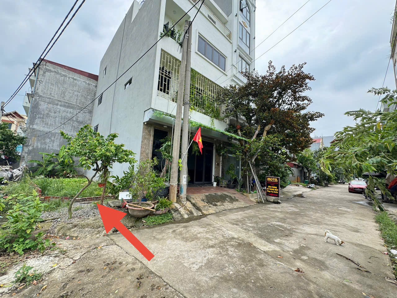 Đất đẹp tổ 5 (cũ), Quang Minh, Mê Linh. Lô góc, 2 mặt thoáng, mặt tiền kinh doanh đẹp 3