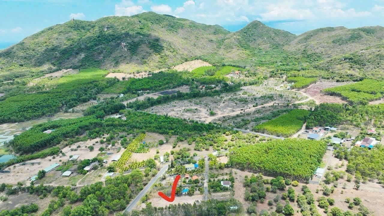 THANH LÝ GẤP LÔ ĐẤT NHÀ VƯỜN SIÊU ĐẸP ĐỂ THANH TOÁN NỢ CHO CON 2
