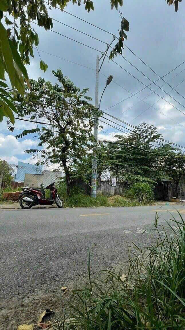 ĐẤT MẶT TIỀN ẤP CHÁNH 16 – HÓC MÔN DTXD 13x30M – KHU DÂN CƯ HIỆN HỮU 2