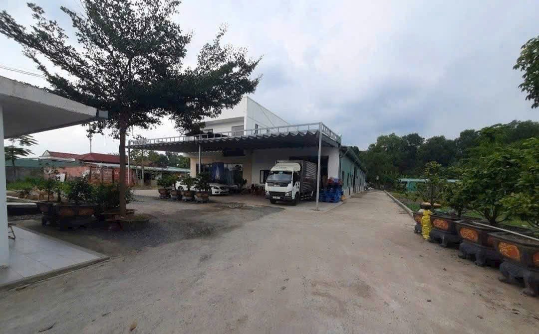 BÁN ĐẤT MẶT TIỀN ĐƯỜNG THANH NIÊN – BÀ ĐIỂM, HÓC MÔN – NGANG KHỦNG 61M 3