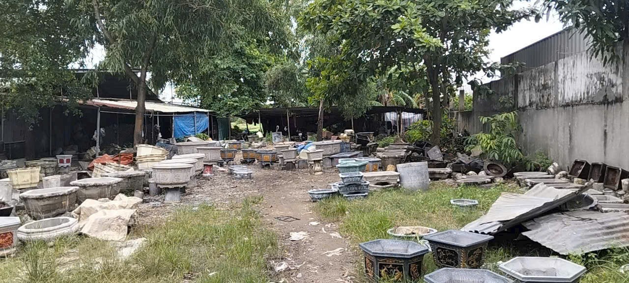 BÁN ĐẤT MẶT TIỀN ĐƯỜNG THANH NIÊN – BÀ ĐIỂM, HÓC MÔN – NGANG KHỦNG 61M 5
