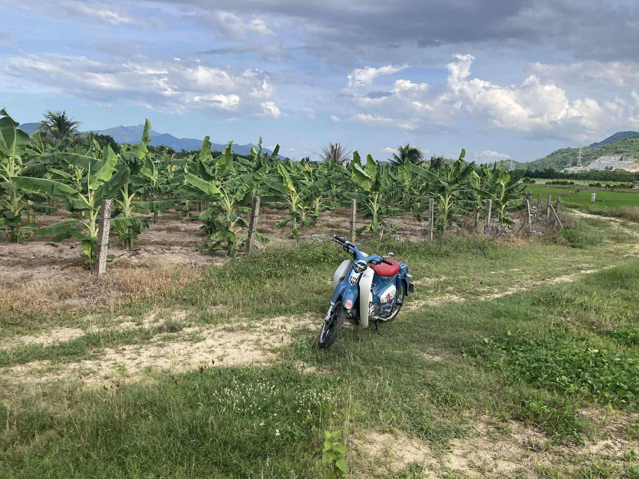 LÔ ĐẤT NHÀ VƯỜN, RESORT, FARM...XÃ BÌNH LỘC, DIÊN KHÁNH. 4