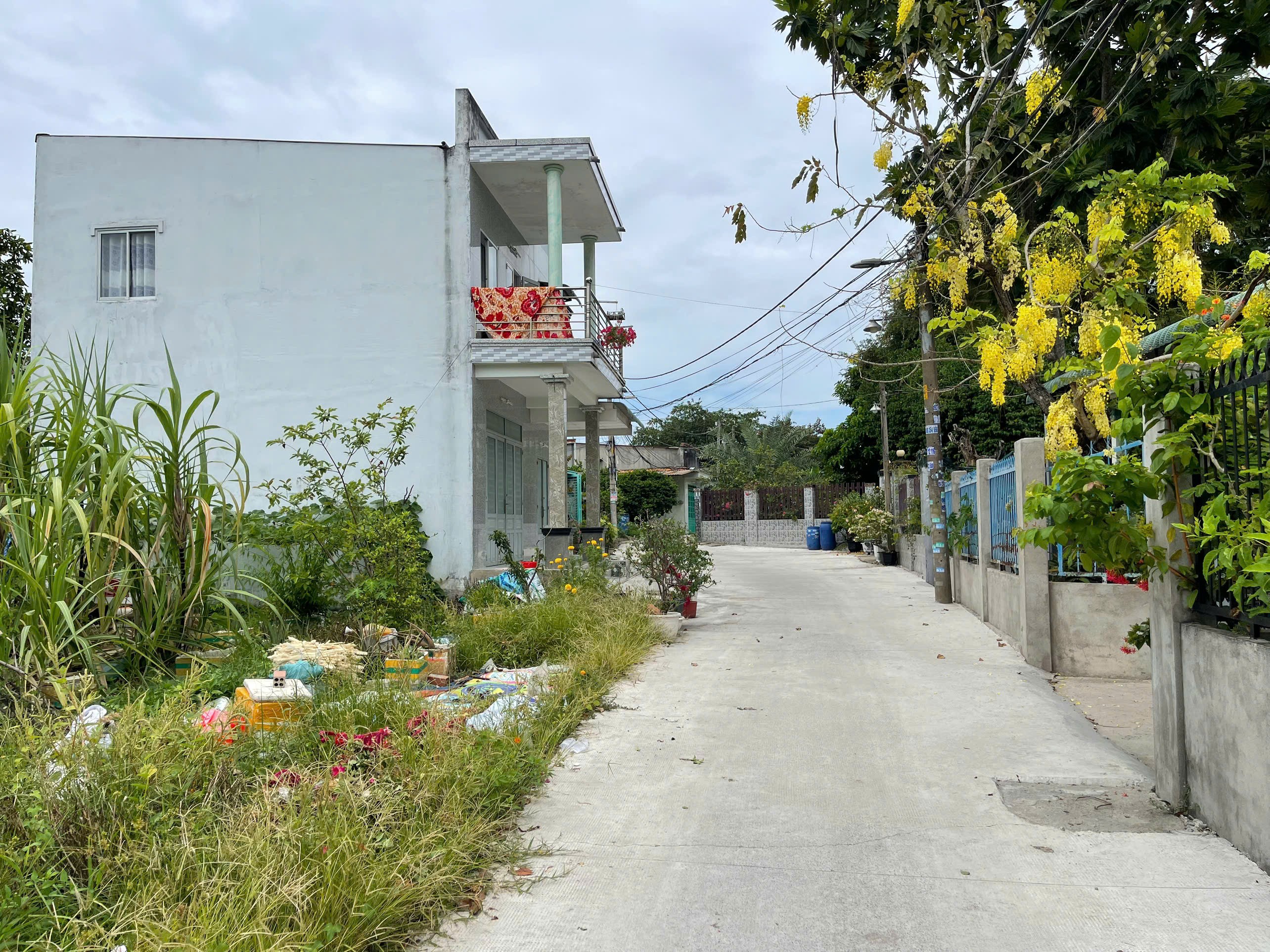 Cần bán Đất Phường Long Thạnh Mỹ, Quận 9, Diện tích 895m², Giá 027 Tỷ 3