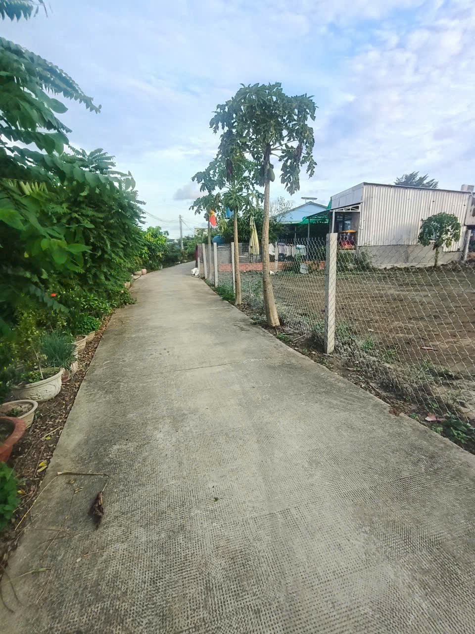 1899m2 đất thổ (918m2) + lúa , đường đan xã Thuận Thành, Cần Giuộc, Long An giá 7,5 tỷ