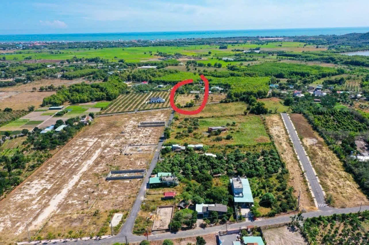 LÔ ĐẤT GẦN NÚI MINH ĐẠM – CÁCH BIỂN PHƯỚC HẢI CHỈ 5KM MÀ CHỈ 2 TỶ 5