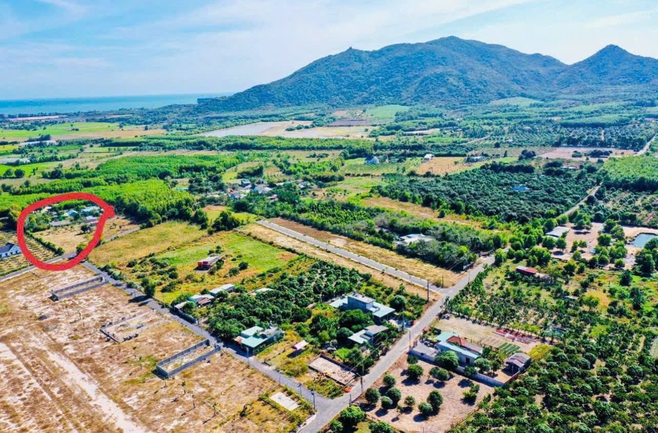 LÔ ĐẤT GẦN NÚI MINH ĐẠM – CÁCH BIỂN PHƯỚC HẢI CHỈ 5KM MÀ CHỈ 2 TỶ 2