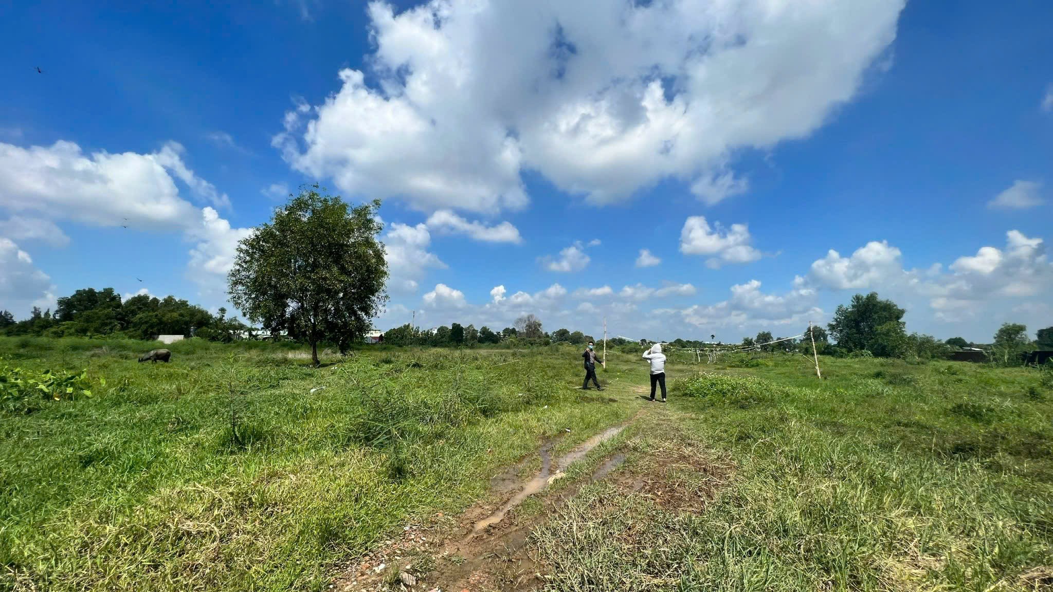 Cần bán Đất Hóc Môn, Hồ Chí Minh, Diện tích 2300m², Giá Thương lượng 5