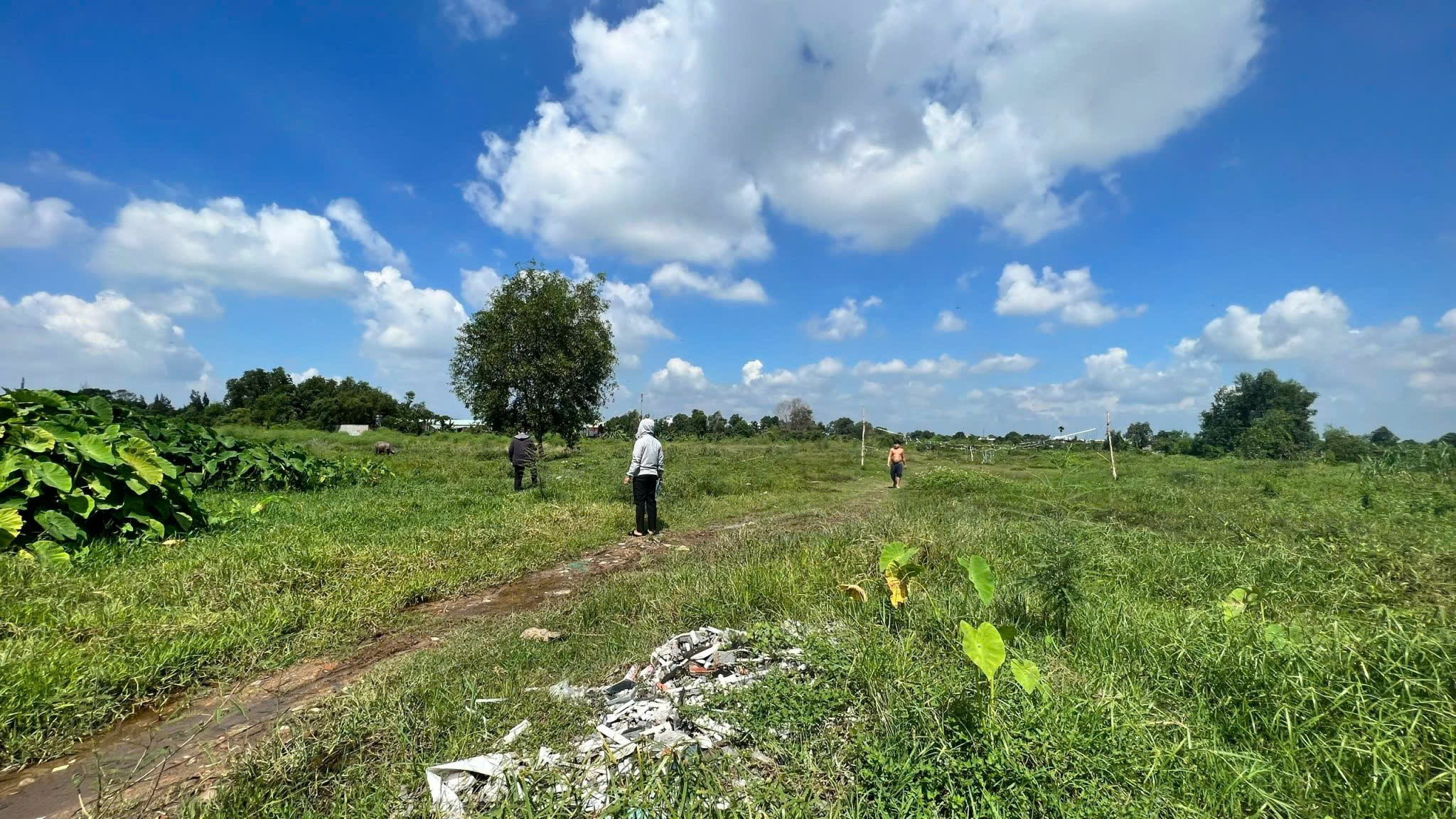 Cần bán Đất Hóc Môn, Hồ Chí Minh, Diện tích 2300m², Giá Thương lượng 2