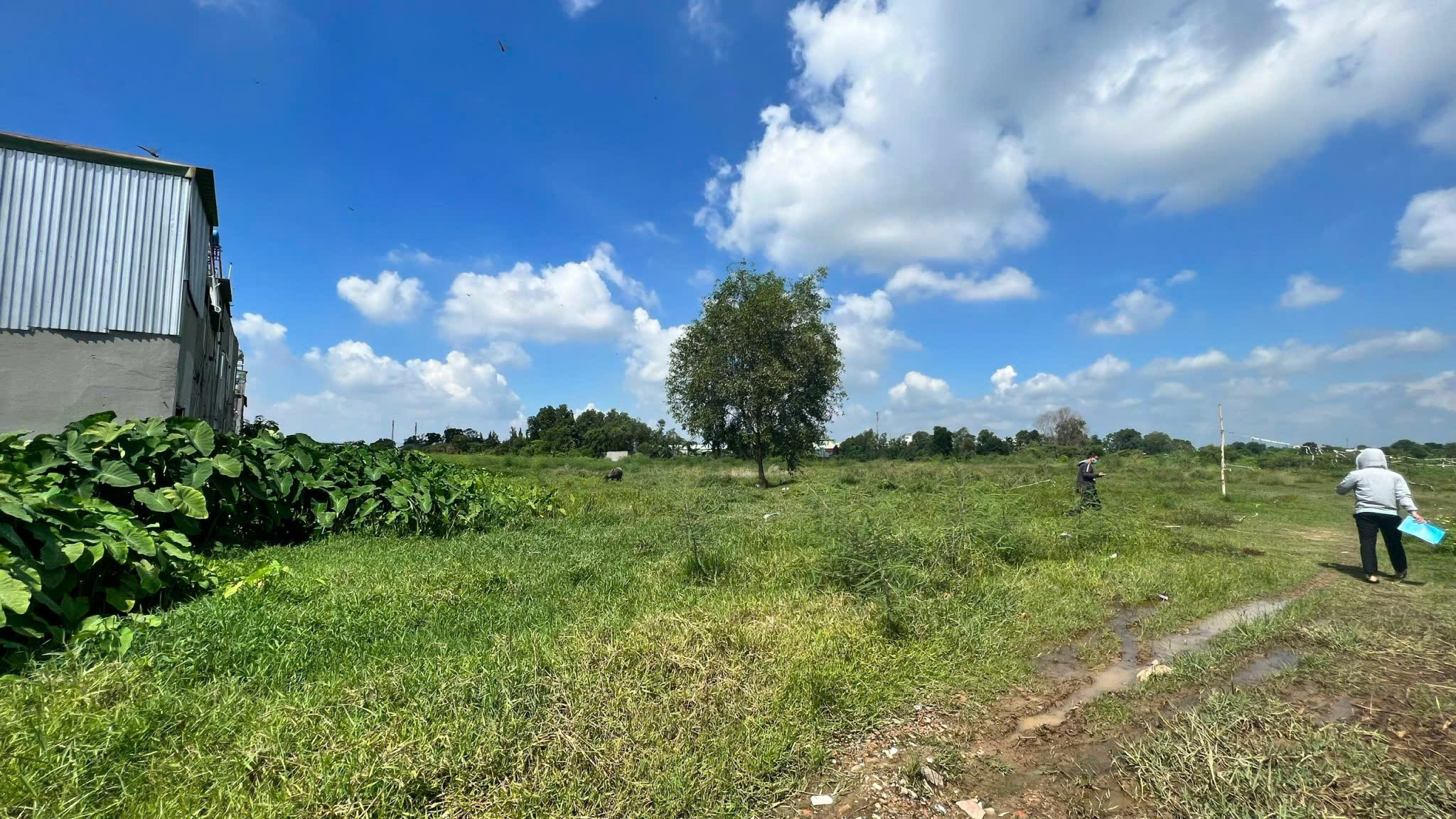 Cần bán Đất Hóc Môn, Hồ Chí Minh, Diện tích 2300m², Giá Thương lượng 4