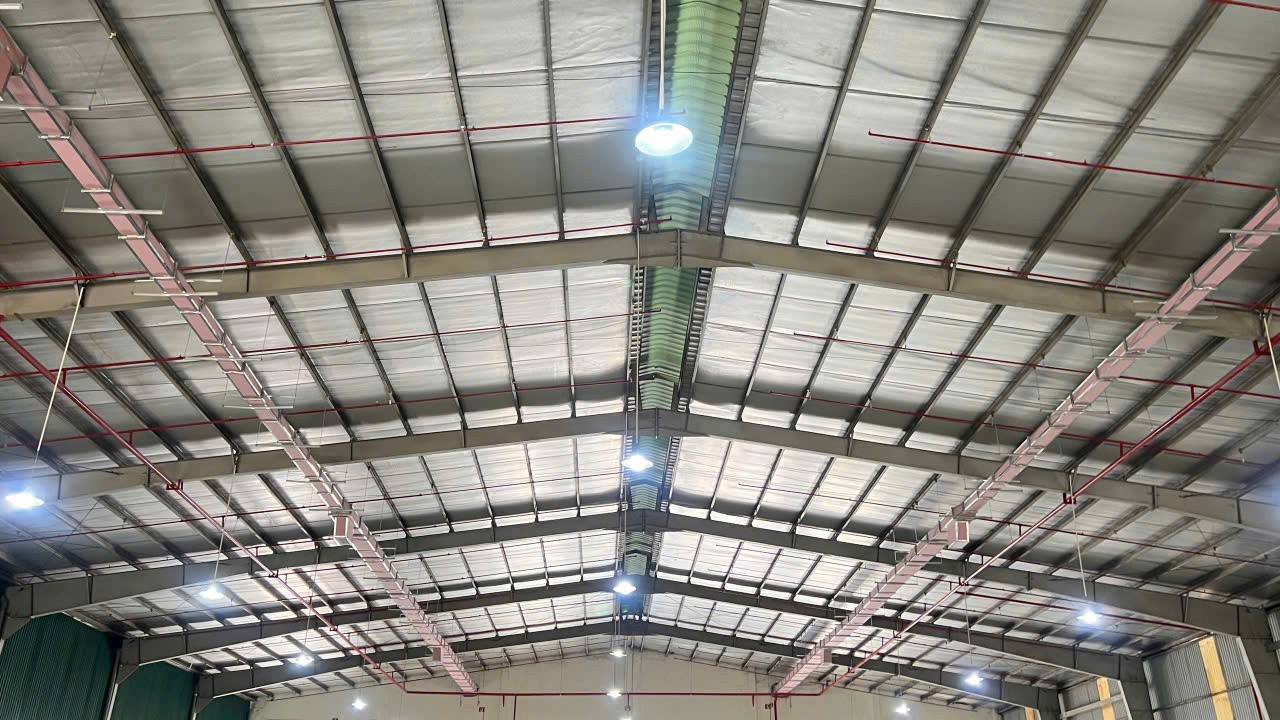 Cho thuê Kho - Nhà xưởng Phường Cát Lái, Quận 2, Diện tích 5432m², Giá Thương lượng 2