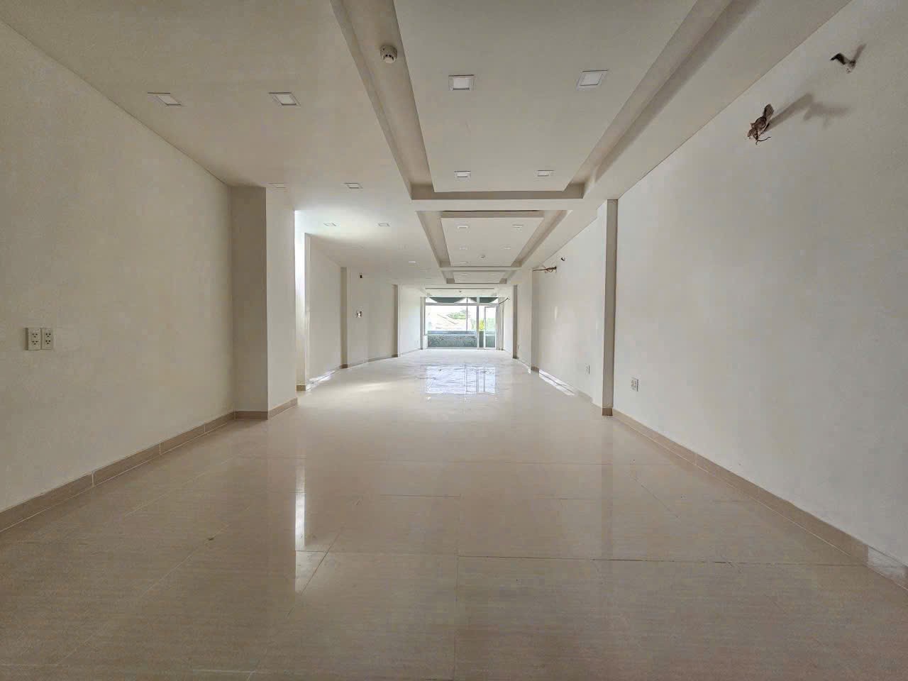 Cần bán Nhà mặt tiền Phường Thảo Điền, Quận 2, Diện tích 120m², Giá 60 Tỷ 4