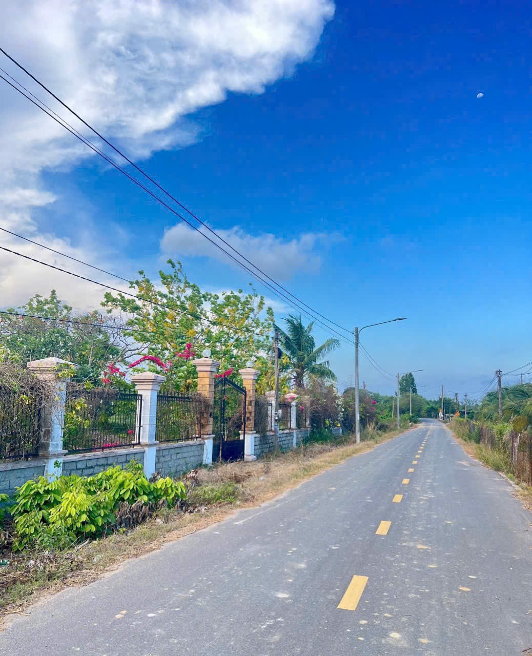 Cần bán Đất đường 44A, Thị trấn Phước Hải, Diện tích 786m², Giá 1.5 Tỷ 4