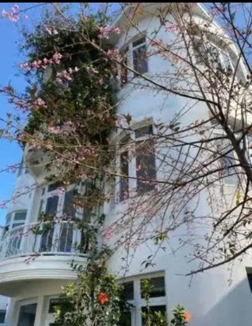 CHO THUÊ VILLA SÂN VƯỜN - CÔ GIANG PHƯỜNG 9 ĐÀ LẠT