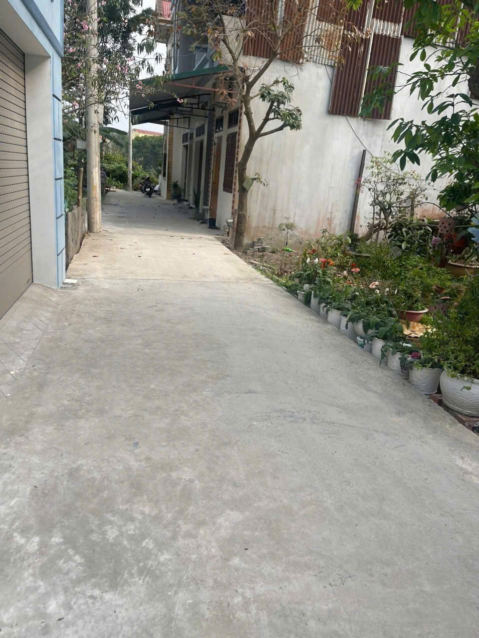 CC CẦN BÁN 62,5M ĐẤT OTO ĐỖ CỬA NGAY ĐT 87A XUÂN SƠN_SƠN TÂY_HÀ NỘI 2