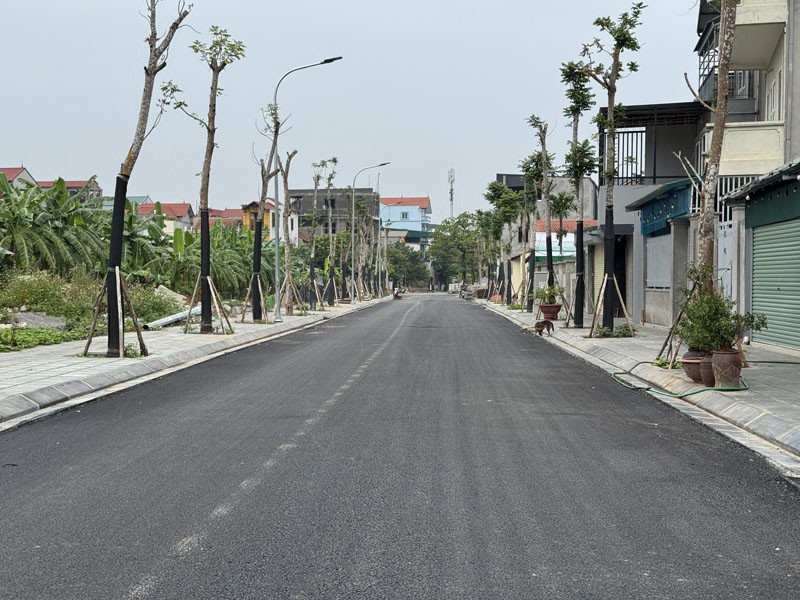 Cần bán 114,5m2 đất mặt phố 729 Bát Khối. Đường 13,5m, gần đầu đường 379 Ecopark và cầu Thanh Trì 2
