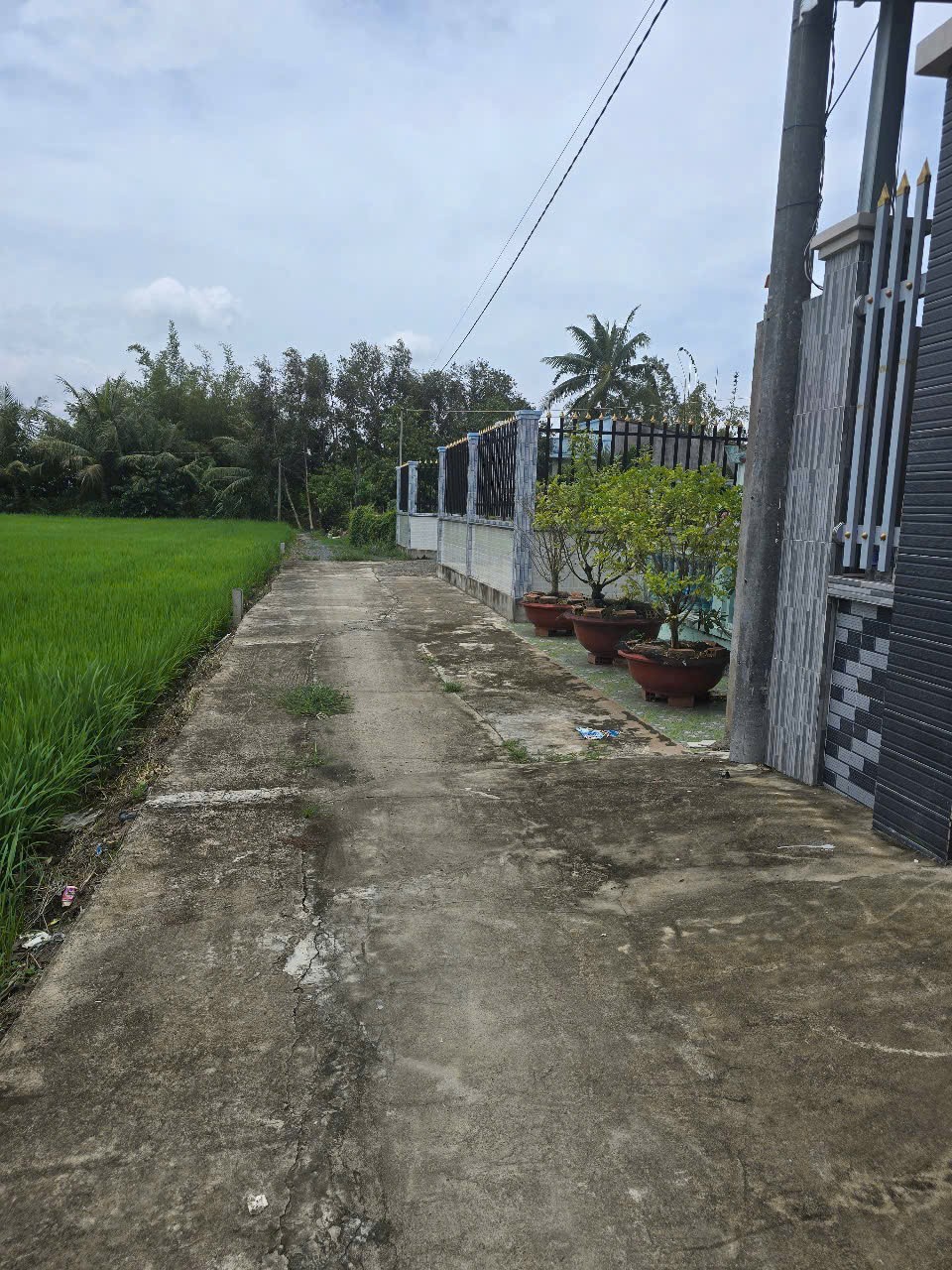 Nhà vườn xã Tân Trạch, Cần Đước tổng dt 330m2 1 lầu 3pn 3wc , sân thượng giá 3,9 tỷ 4