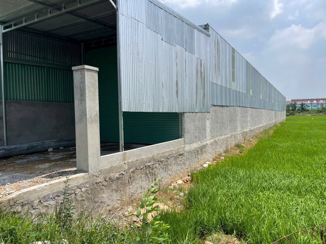 Nhà kho mặt tiền đường ấp 10 , xã Lương Hòa, Bến lức ,Long An dt 545m2 giá 4,5 tỷ 6