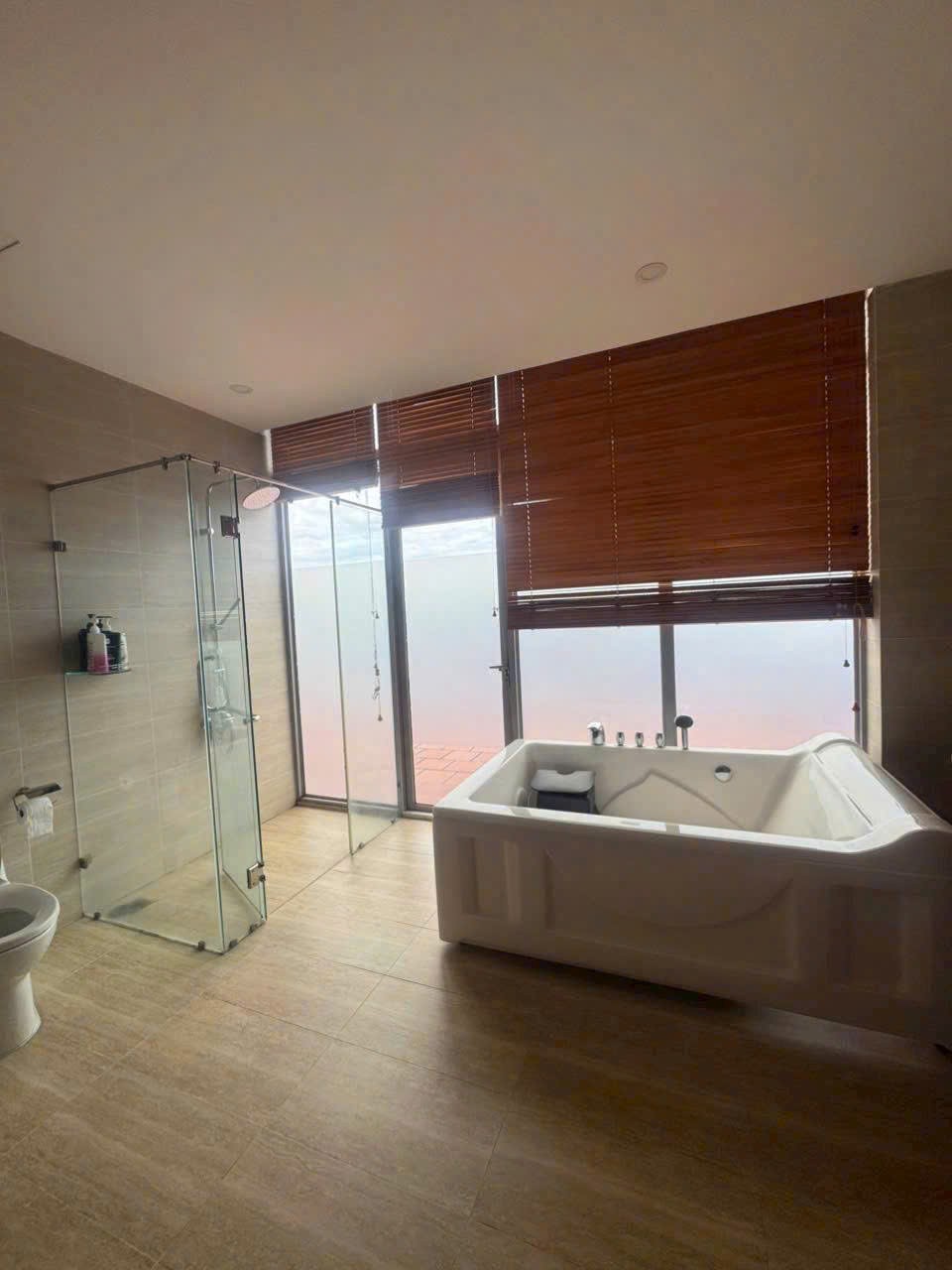 Cần bán Biệt thự Quận 9, Hồ Chí Minh, Diện tích 493m², Giá 060 Tỷ 4