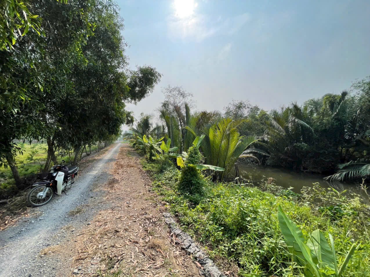 700m2 đất lúa ấp 10, xã Lương Hòa, Bến Lức, Long An giá 1,3 tỷ 3