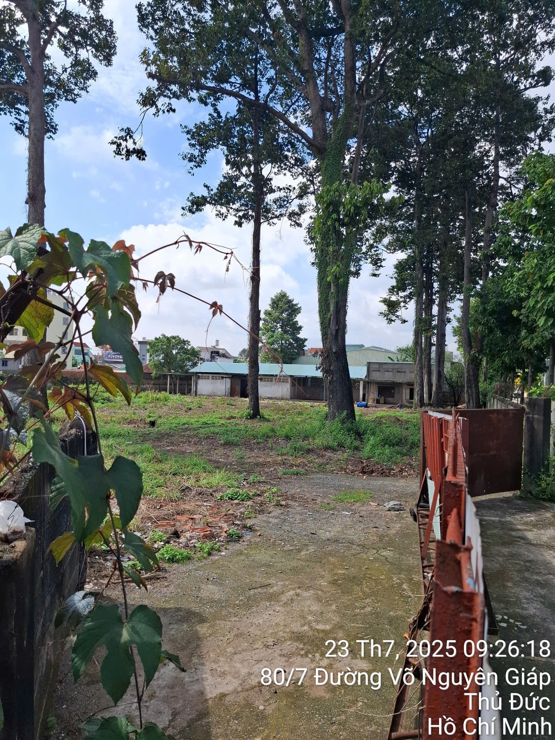 Cho thuê Đất Phường Tân Phú, Quận 9, Diện tích 4658m², Giá 180 Triệu/tháng 6