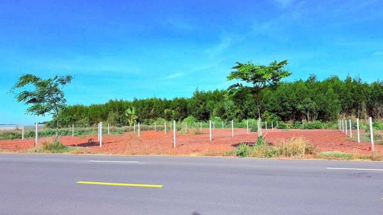NẮM CHỦ CẦN BÁN GẤP 1 TỶ MẶT TIỀN DT.997 CẠNH KCN ĐẤT ĐỎ XÃ PHƯỚC LONG THỌ. 4