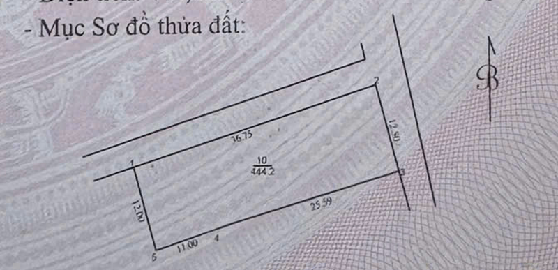 Chính chủ bán lô góc 444,2m2 đất Kim Sơn, Thuận An, Gia Lâm. Cách 10m ra đường đê ô tô đỗ tránh. 5