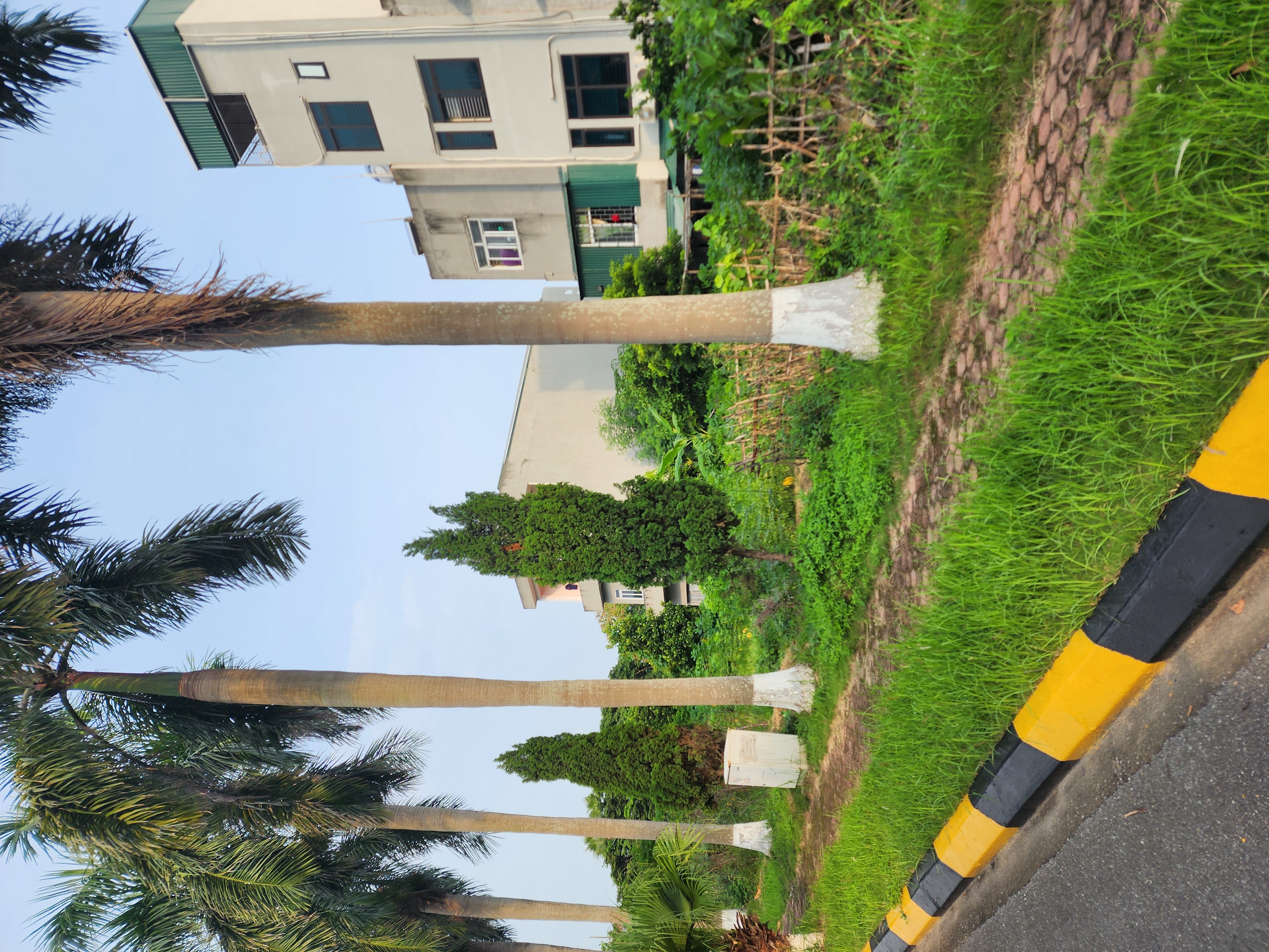 Biệt thự KCN Đại An Tứ Minh 300m2 mặt 17.65m đường đôi giá đầu tư