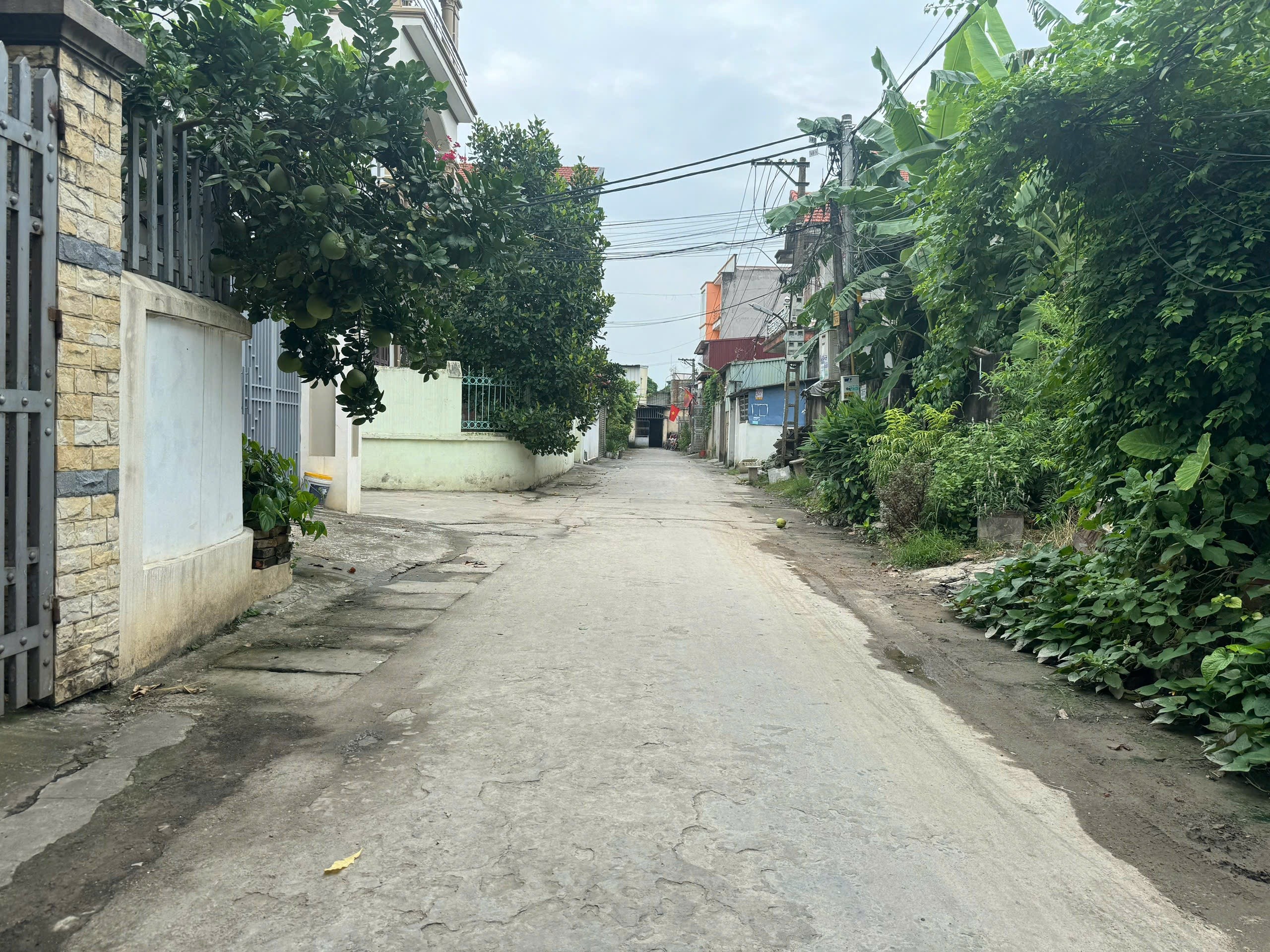 Đất Lạc Hồng, Ô tô vào thoải mái, đường thông, khu dân cư đông đúc: 0835459289