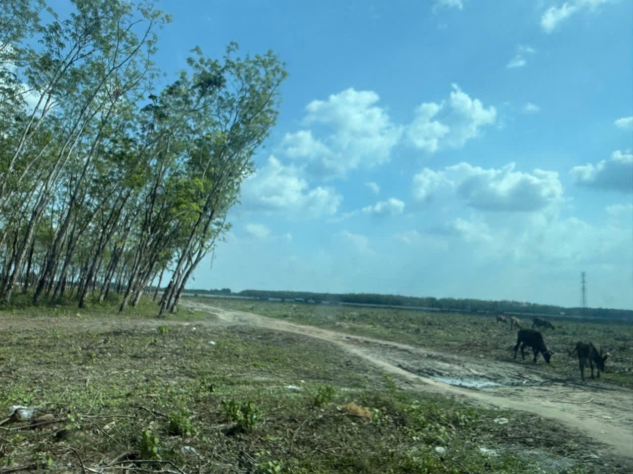 SIÊU PHẨM (46x110) 2MT CỦ CHI – 4.500m², THỔ CƯ 2.600m², CHỈ 8 TRIỆU/m² 4