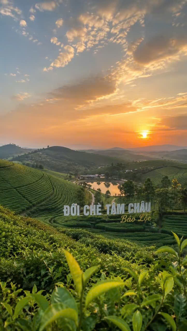 CHỦ CẦN BÁN GẤP VILLAS NGHĨ DƯỠNG BẢO LỘC - CÁCH ĐỒI TRÀ TÂM CHÂU CHỈ 1 KM - CHỈ 3.650 TỈ 3