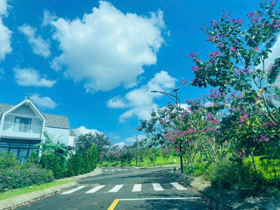 CHỦ CẦN BÁN GẤP VILLAS NGHĨ DƯỠNG BẢO LỘC - CÁCH ĐỒI TRÀ TÂM CHÂU CHỈ 1 KM - CHỈ 3.650 TỈ 5