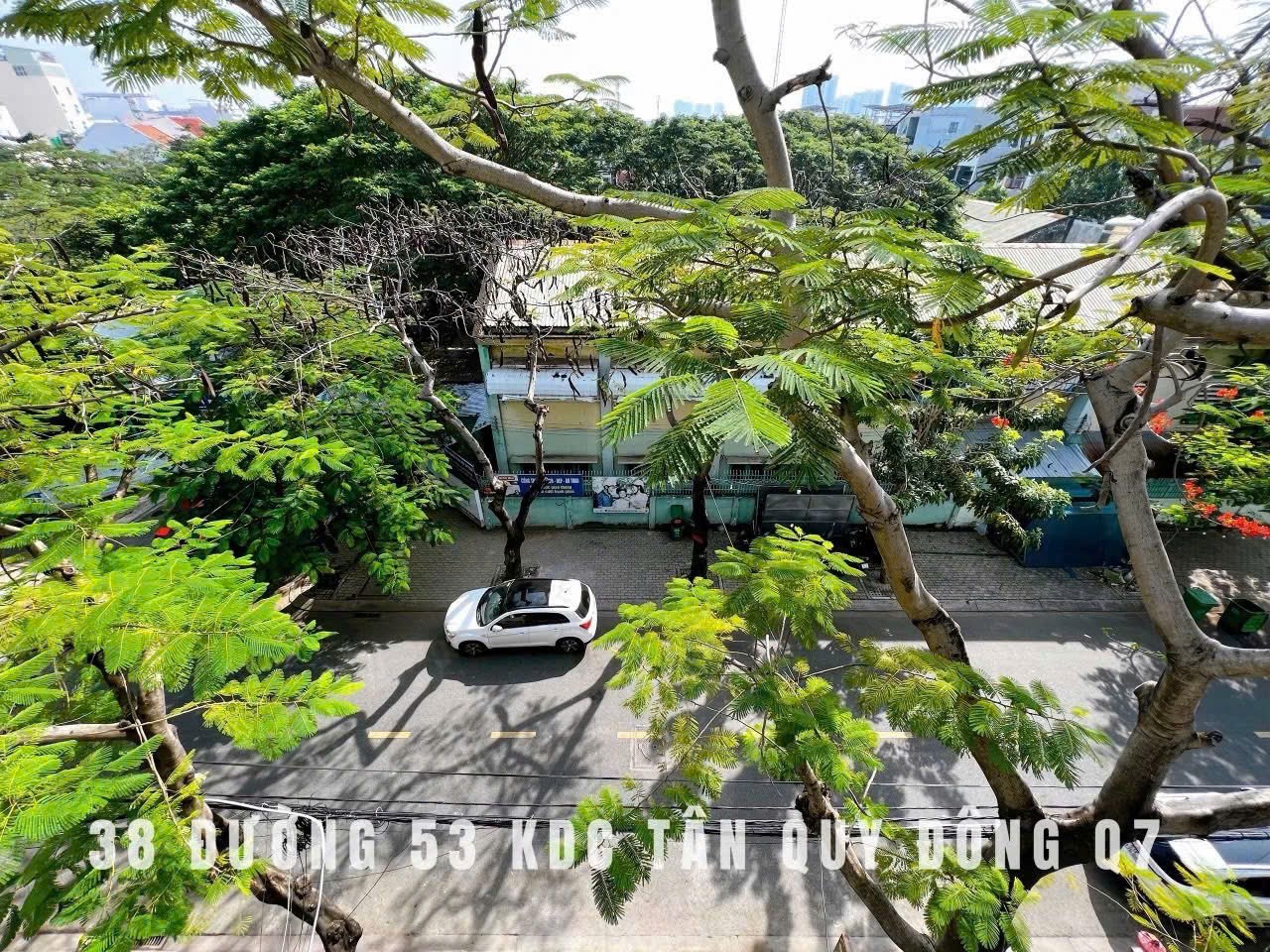 Cho thuê Nhà mặt tiền Quận 7, Hồ Chí Minh, Diện tích 120m², Giá 50 Triệu/tháng 8