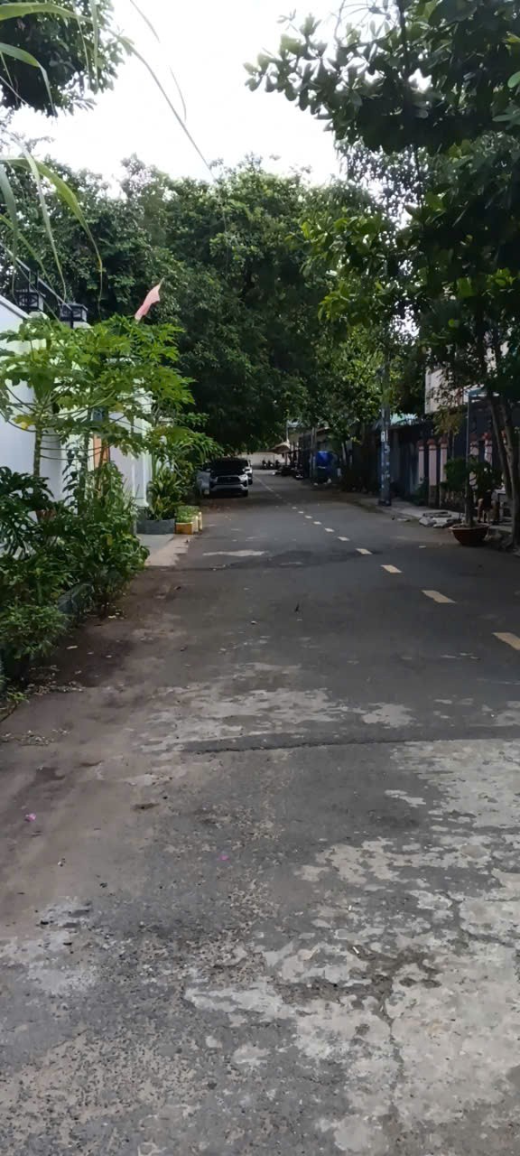 Cần bán Nhà mặt tiền Phường Bình Thọ, Thủ Đức, Diện tích 44m², Giá 6.5 Tỷ 6