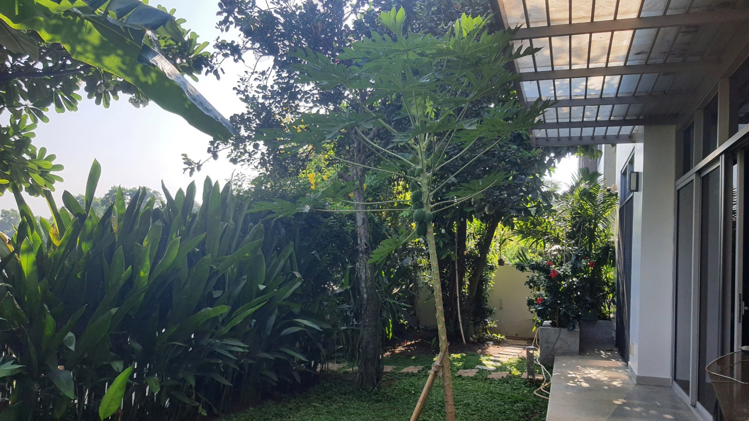 Cần bán Biệt thự Phường Phước Long B, Quận 9, Diện tích 484m², Giá 80 Tỷ 4