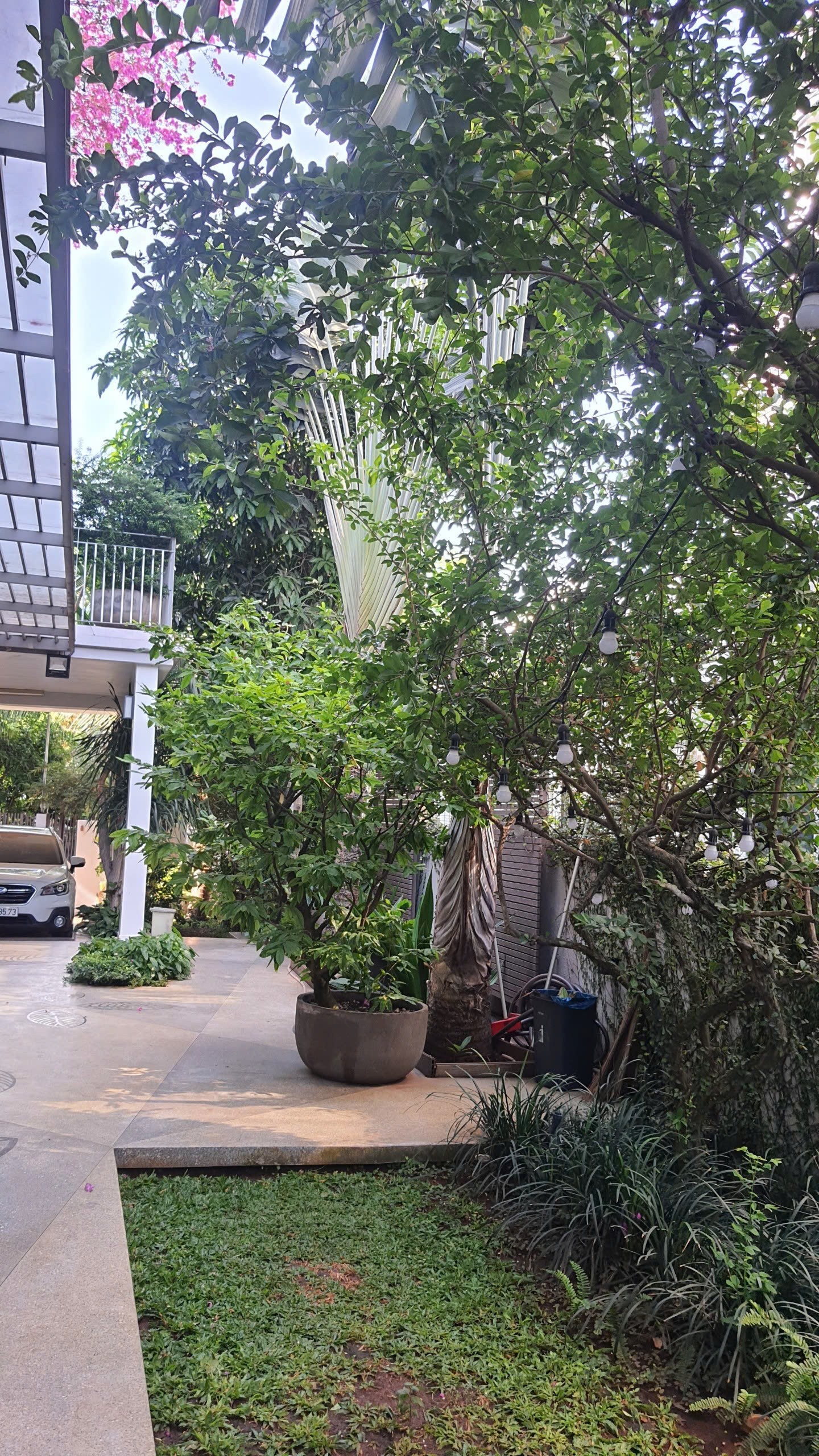 Cần bán Biệt thự Phường Phước Long B, Quận 9, Diện tích 484m², Giá 80 Tỷ 10