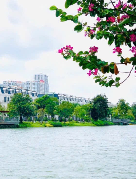 Cần bán Nhà mặt tiền Phường An Phú, Quận 2, Diện tích 500m², Giá Thương lượng 5