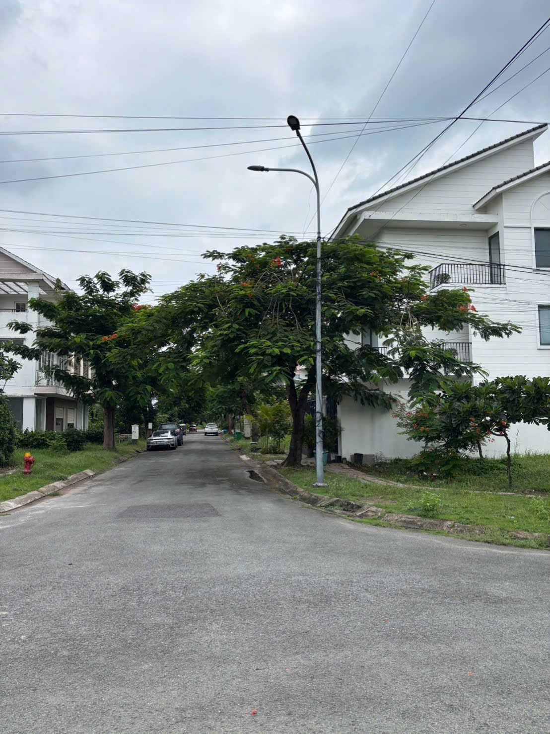 Cần bán Biệt thự Phường Phú Hữu, Quận 9, Diện tích 160m², Giá 16.5 Tỷ 3