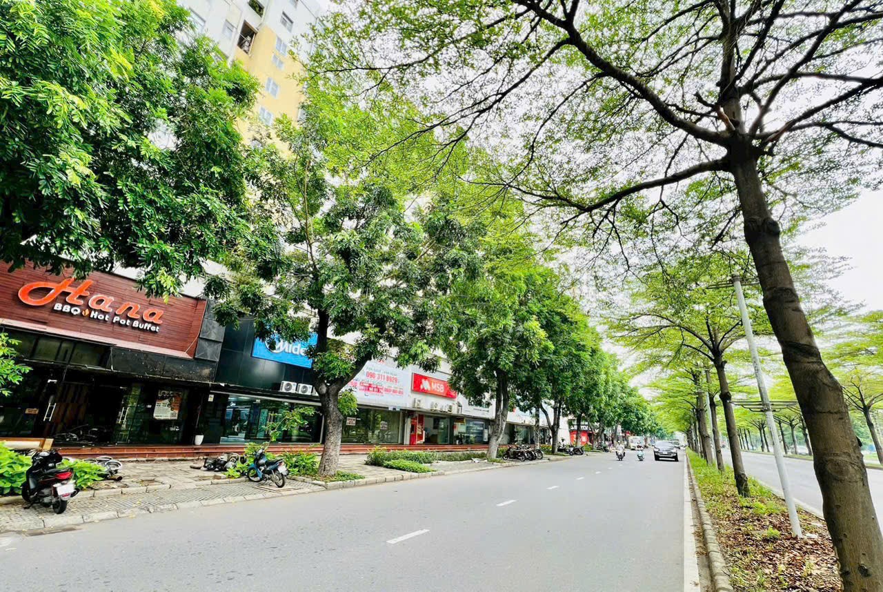 Cho thuê Cửa hàng - Kiot - Mặt bằng Phường Tân Hưng, Quận 7, Diện tích 186m², Giá 0140 Triệu/tháng 4