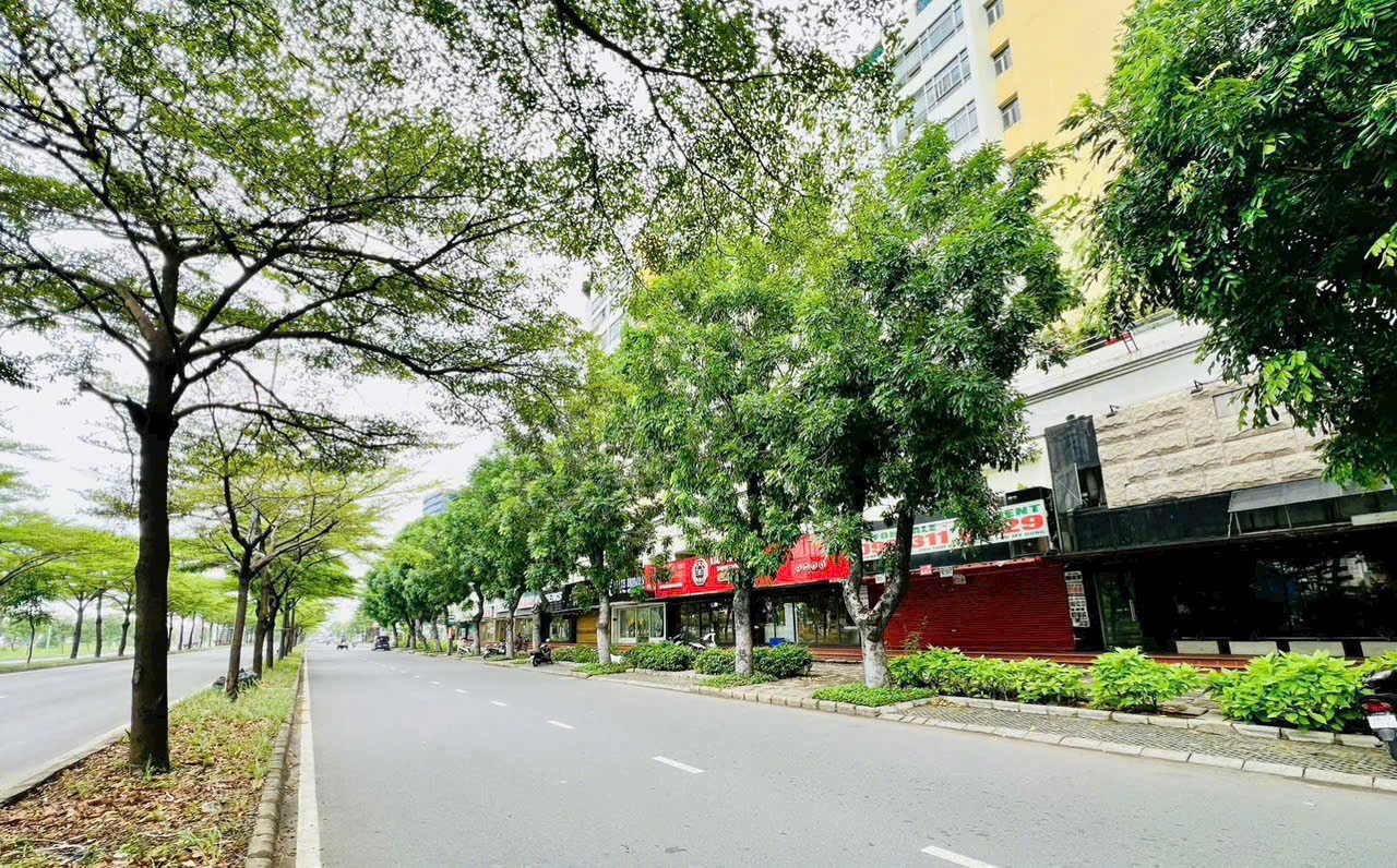 Cho thuê Cửa hàng - Kiot - Mặt bằng Phường Tân Hưng, Quận 7, Diện tích 186m², Giá 0140 Triệu/tháng 2