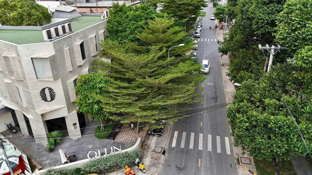 Cần bán Đất Quận 2, Hồ Chí Minh, Diện tích 500m², Giá 302 Triệu/m² 4
