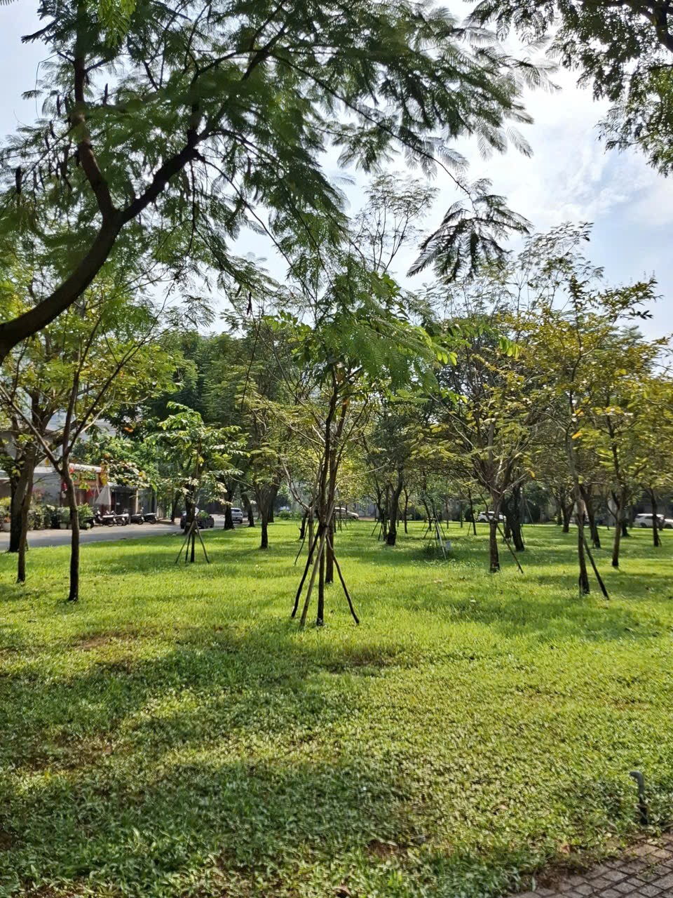 Cần bán Đất Phường An Phú, Quận 2, Diện tích 140m², Giá 36 Tỷ 5