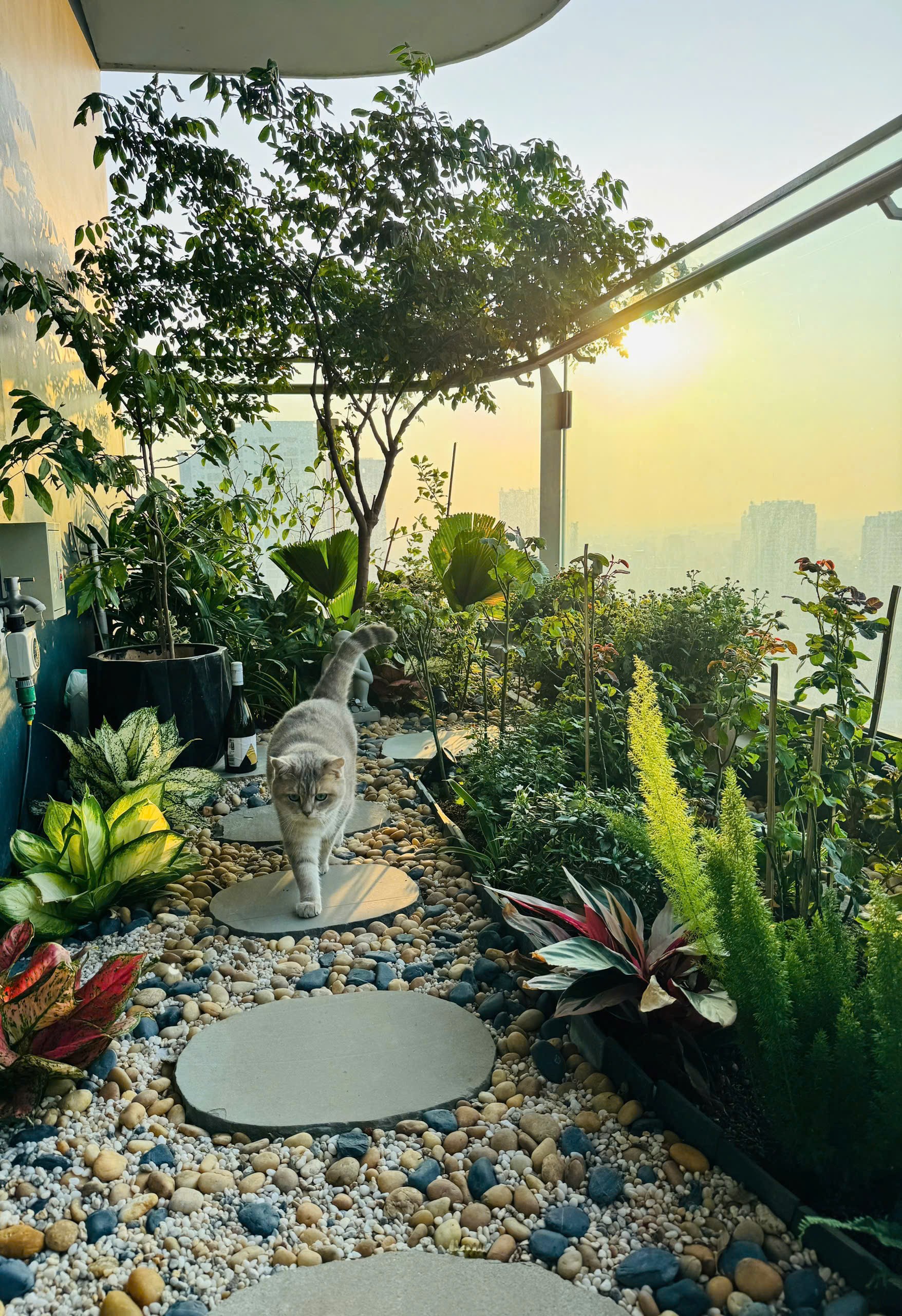Bán gấp căn 3PN Full nội thất đẹp nhất Sunshine Golden River – View công viên 65ha không bị che 3